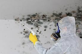 Best Forensic Mold Investigation  in Muttontown, NY